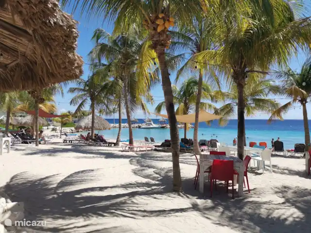 Casa Rosa Curaçao in Blue Bay – foto 10
