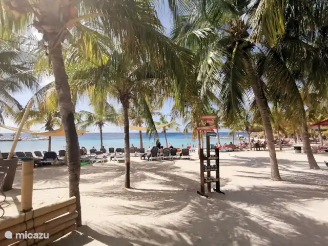 Casa Rosa Curaçao in Blue Bay – foto 12